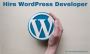 Hire Wordpress developers Check Requirements Online
