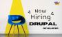 Hire Skilled Drupal Developers For Freelance Work