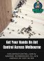 Get Your Hands On Ant Control Across Melbourne