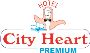 Best Hotel in Sector 17 Chandigarh – hotel city heart premiu