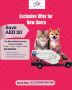 Mobile Dog Grooming in Dubai Mobile Dog Grooming in Dubai