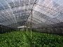 Leading Shade Net Suppliers in Dubai, UAE | HP Tarp Leading Shade Net Suppliers in Dubai, UAE | HP Tarp