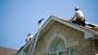 Expert Roofing Services In Springfield: Finding The Right Co