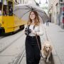 Buy Stylish Rain Umbrella Online in Florida Today Buy Stylish Rain Umbrella Online in Florida Today