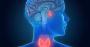 Pituitary Disorders Symptoms