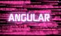 AngularJS Development Company | Expert Software Services