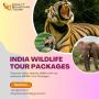 Best Wildlife Tour Packages For 2024