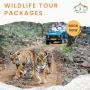 Wildlife Safari Adventure Explore Nature's Wonders on Safari