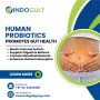 Shop for Human Probiotics - Improve Gut Health Today!