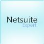 Grab NetSuite Consulting Services To Drive High Efficiency 