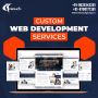 Custom Web Development Company In Delhi
