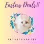 It's time for Easter sales!!! Only at PetVetExpress you find