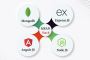 MEAN Stack Development Services | MEAN Stack Developers MEAN Stack Development Services | MEAN Stack Developers