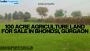 Agriculture Land for sale In Gurgaon