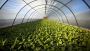 Elevate Your Agriculture with BioAg Innovations' Integrated 