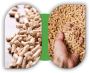 Biomass Pellet Supplier in India: Leading Providers for Sust