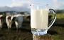 Buy Online Pure Fresh Cow Milk in Greater Noida | West Delhi