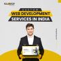 Hire a Custom Web Development Services in India and the USA