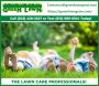 Affordable lawn weed control services in Jeffersonville Indi