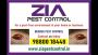 Pest Control service | effective bedbug treatments Bangalore