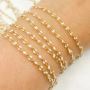 Enamel Gold Plated Silver Chains Enamel Gold Plated Silver Chains