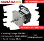 "Precision Meets Power: SGGearbox's Range of DC Motors!"