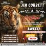 Jim Corbett Safari Booking Online