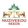 Get the Best Nuziveedu Seeds Share Price only at Planify