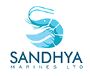 Get The Best Sandhya Marines Share Price Only At Planify