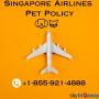 Can I Take My Pet on Singapore Airlines?