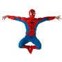 Buy Spiderman Costume For Adult and kids Online