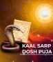 Feel Free to call us Kaal Sarp Dosh Puja in Ujjain Charges