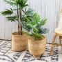 Get Stylish Indoor Planters From ArtStory