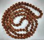 Fashioned for Peace: Buy Exquisite Rudraksha Mala Online Her