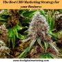The Best CBD Marketing Strategy for your Business