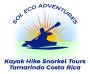 Best Turtle Nesting Tour in Costa Rica 