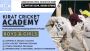 Top Cricket Academy in Mohali - Kirat Cricket Academy