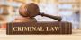 Hire the Best Criminal Defense Lawyers in Miami