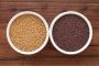 How To Choose Premium Quality Mustard Seed Online