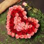 Send Love: Online Flowers to Kanpur by YuvaFlowers