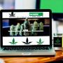 Start Your Own Virtual Dispensary - 100% Legal!! 