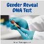  DNA Test to Reveal Gender