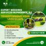 Expert Weeding Services in Phoenix, AZ - Transforming Your L