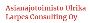 Asianajotoimisto Ulrika Larpes Consulting Oy Asianajotoimisto Ulrika Larpes Consulting Oy