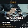 NDPS Lawyers in Bangalore | Lawyers in Bangalore for Bail