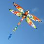 Discover the Ultimate Kite Shopping Experience at Lekite - Y