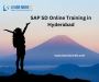 SAP SD Online Training in Hyderabad - Learn More IT