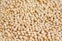 Premium quality Canadian pulses suppliers 