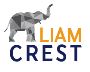 Liam Crest – A black owned eLearning company