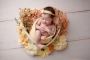  Find the Complete Guide to Newborn Photography